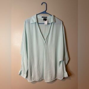 Decker Eggshell Blue Sheer V-Neck Long Sleeve Blouse